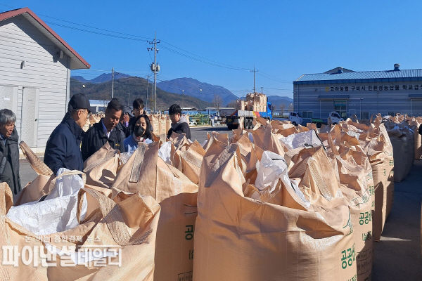 2023년산 공공비축미곡 건조 벼 수매현장 ⓒ파이낸셜데일리/구미시