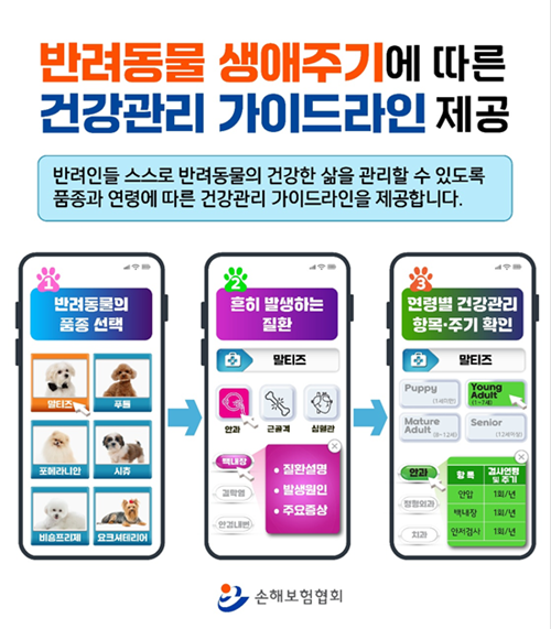 손해보험협회가 반려동물 생애주기에 따른 건강관리 가이드라인을 제공할 계획이다. ⓒ 파이낸셜데일리 / 손해보험협회
