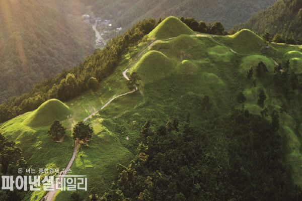  지산동 고분군 전경 ⓒ파이낸셜데일리/고령군