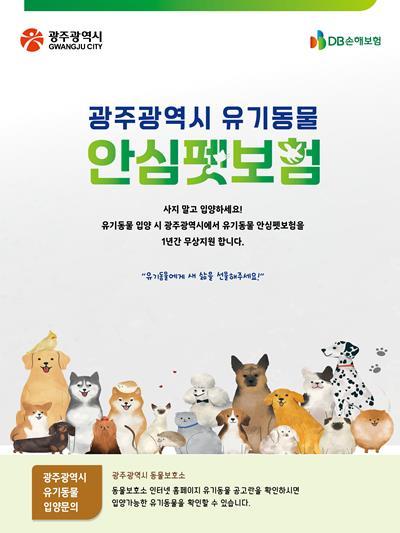 광주광역시 유기동물 안심펫보험 홍보 이미지. ⓒ 파이낸셜데일리 / DB손해보험