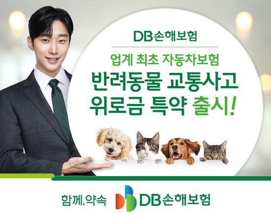 반료동물 교통사고 위로금 특약. ⓒ 파이낸셜데일리 / DB손해보험