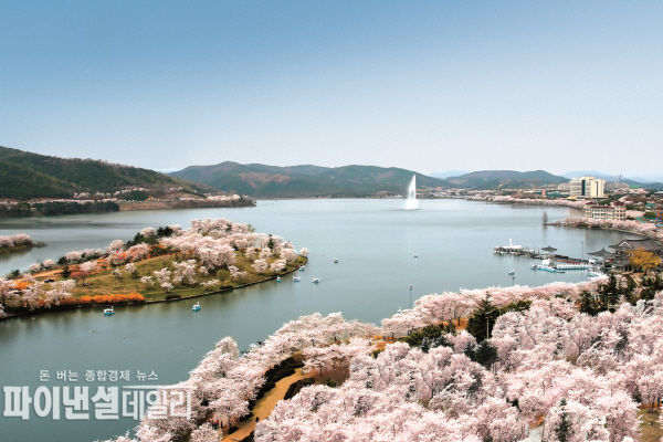  보문호 벚꽃전경 ⓒ파이낸셜데일리/경주시