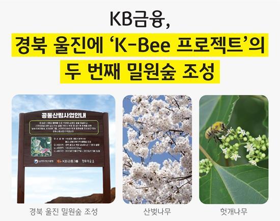 KB금융, 식목일을 맞아 경북 울진에 'K-Bee 프로젝트'의 두 번째 밀원숲 조성. ⓒ 파이낸셜데일리 / KB금융