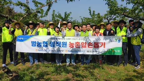 3일 농협은행 자금시장부문 임직원들이 경기 이천시 과수농가를 찾아 일손돕기 후 기념촬영을 하고 있다. ⓒ 파이낸셜데일리 / NH농협은행