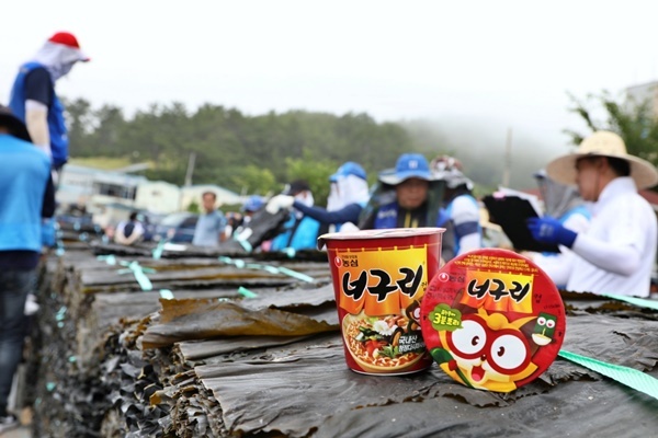 너구리 다시마 위판 현장. ⓒ 파이낸셜데일리 / 농심 