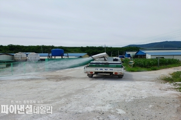 양돈농장 아프리카돼지열병 긴급방역을 위한 소독 현장. ⓒ 파이낸셜데일리/포항시