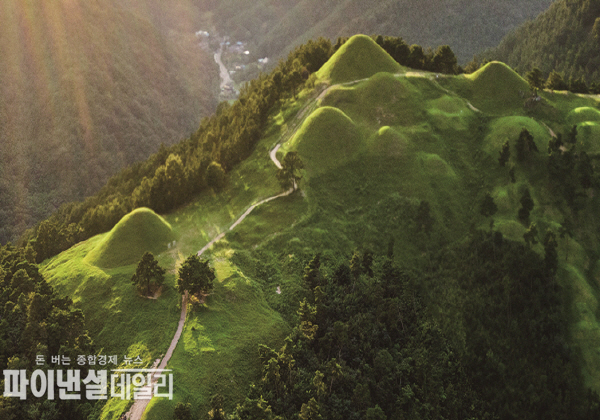  지산동 고분군 전경 ⓒ파이낸셜데일리/고령군