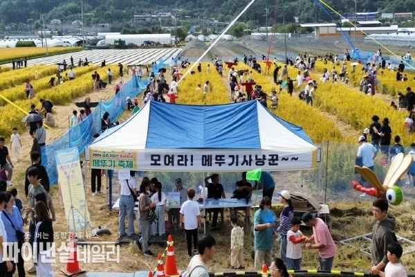  메뚜기 잡이 체험 현장 ⓒ 파이낸셜데일리/박미화 기자
