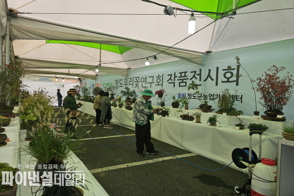  청도 우리꽃 연구회 작품 전시회 ⓒ파이낸셜데일리/청도군