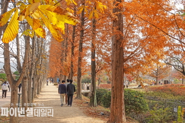  경북산림환경연구원 본관과 피크닉 쉼터, 숲 산책길 ⓒ파이낸셜데일리/경주시