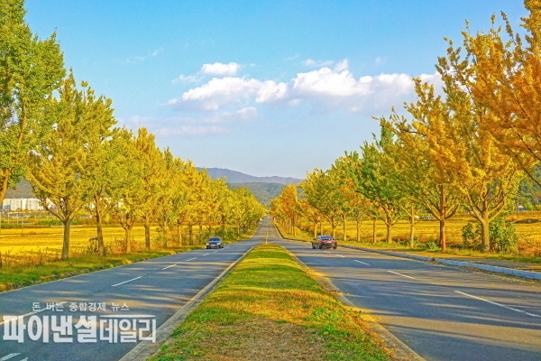  통일전 은행나무길 ⓒ파이낸셜데일리/경주시