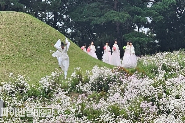  구절초 꽃밭을 배경으로 이종태의 선비춤을 추고 있다 ⓒ파이낸셜데일리/신라문화원