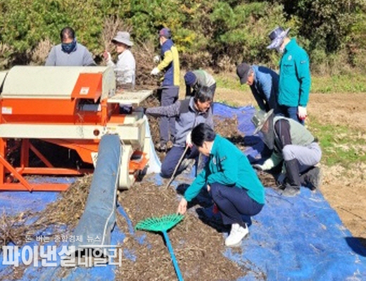 『희망텃밭』 ‘사랑의 들깨’타작 행사 ⓒ파이낸셜데일리/성주군