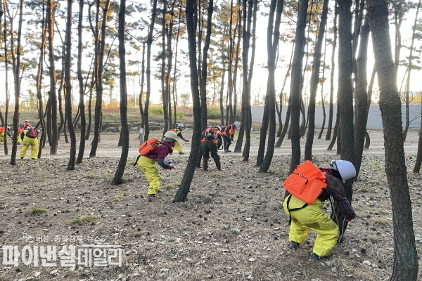 소나무재선충병 확산 방지 및 보존가치가 높은 소나무 나무예방주사 접종ⓒ파이낸셜데일리/포항시