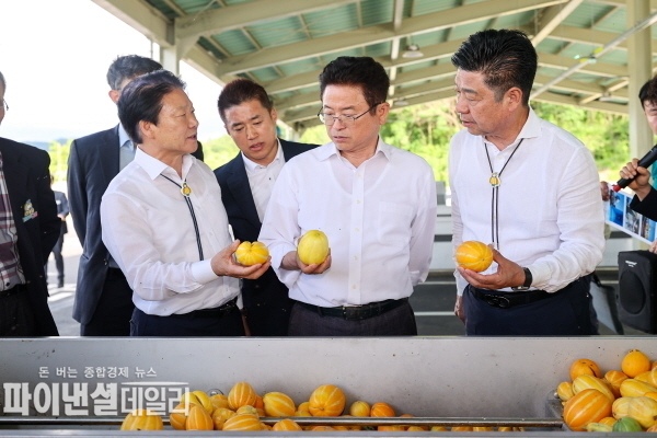 참외 유통시설 AI 선별 시스템 등으로 이루어진 스마트시설 농산물 입고·저장·선별·포장 등 APC 기능을 자동화ⓒ파이낸셜데일리/성주군