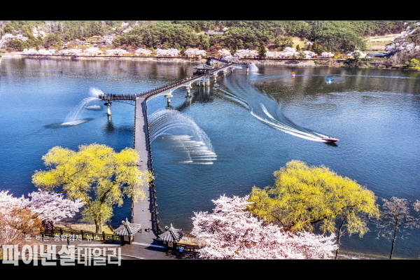 지난 봄 훨영교 전경 ⓒ 파이낸셜데일리/경북문화관광공사
