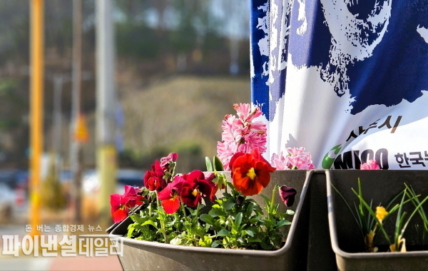  양묘용 비닐하우스를 설치 운영 봄꽃 조기 전시 성과 ⓒ파이낸셜데일리/상주시