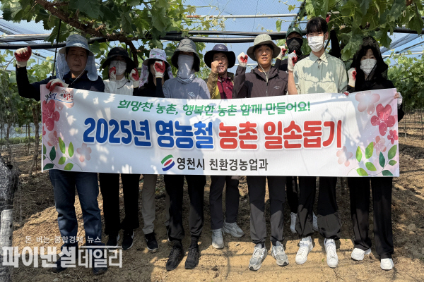  친환경농업과 화남면 대천리의 한 포도 농가를 찾아 일손돕기ⓒ파이낸셜데일리/영천시