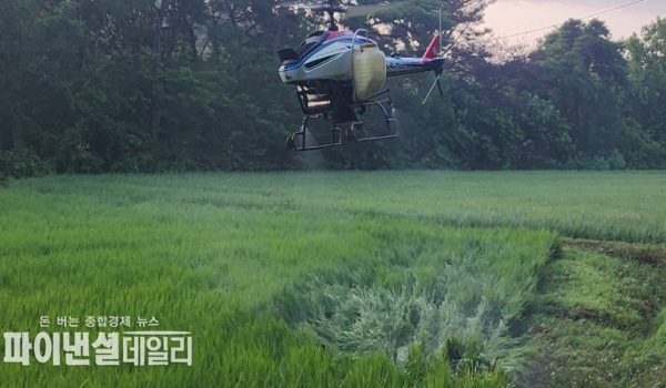  구룡포읍 외 11개 읍·면 논 5,600ha 병해충 1차 항공방제 ⓒ파이낸셜데일리/포항시