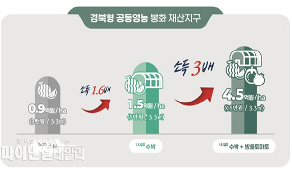 경북형 공동영농 봉화 재산지구 ⓒ파이낸셜데일리/경북도