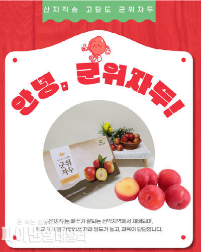 여름철 대표 명품 과일 군위 자두 홍보포스터 ⓒ파이낸셜데일리/군위군