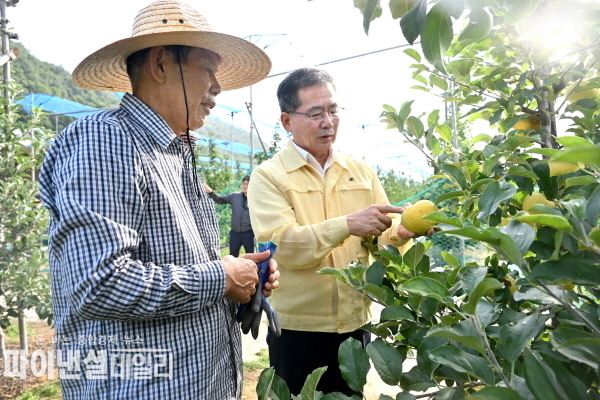  ‘골든볼’ 첫 수확 김진열 군위군수도 함께했다 ⓒ파이낸셜데일리/군위군