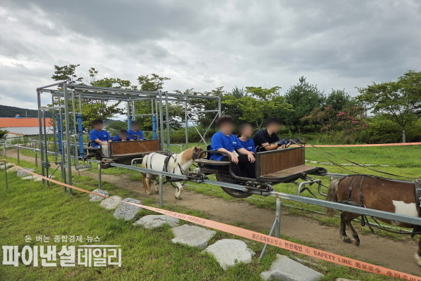 주산승마조련센터에서 ‘마농(馬農) 문화체험’ 프로그램의 일환으로 다함께 돌봄센터 소속 초등학생 20명이 다양한 승마 체험 ⓒ파이낸셜데일리/영천시