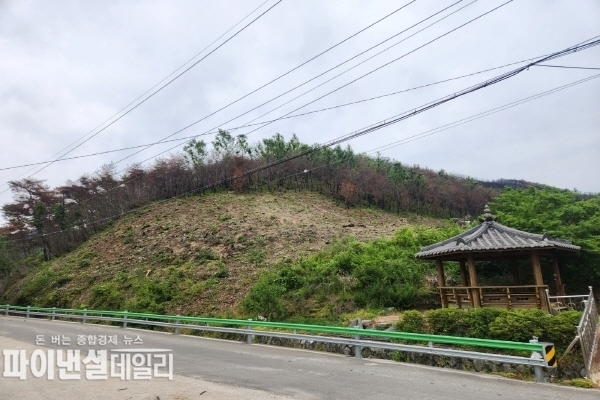 ‘산불피해지 위험목 제거 사업’ 현장 ⓒ파이낸셜데일리/의성군
