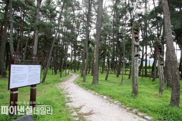 북송리 북천수’와 ‘포항 발산리 모감주나무와 병아리꽃나무 군락’ ⓒ파이낸셜데일리/포항시
