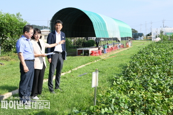  김진열군수가 과학영농실증시험현장 답사 ⓒ파이낸셜데일리/군위군