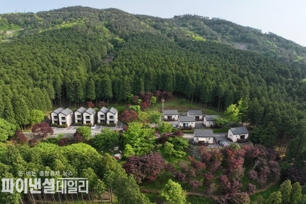  자여뉴양림 전경 ⓒ파이낸셜데일리/ 산림청 한국산림복지진흥원