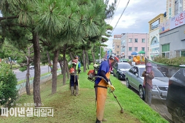 시 전역의 도시숲과 녹지시설에 대한 대대적인 환경 정비 ⓒ파이낸셜데일리/포항시