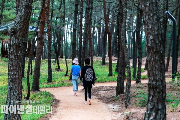 푸른 바다와 숲이 어우러진 월송정 맨발걷기길. 부드러운 천연 흙길로 조성되어 있는 월송정 맨발걷기길 ⓒ파이낸셜데일리/울진군
