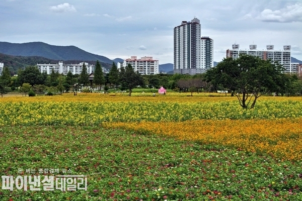 황성문화공원 내 유휴부지 계절별 꽃 정원을 조성 ⓒ파이낸셜데일리/경주시