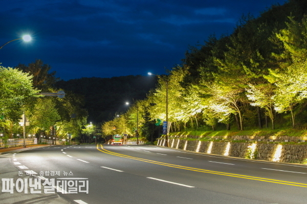 심 전역에서 추진해 온 야간 도로경관 정비 ⓒ파이낸셜데일리/경주시