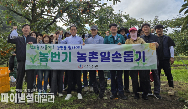 자매결연지인 청도군 각남면을 찾아 농촌일손돕기 ⓒ파이낸셜데일리/대구시