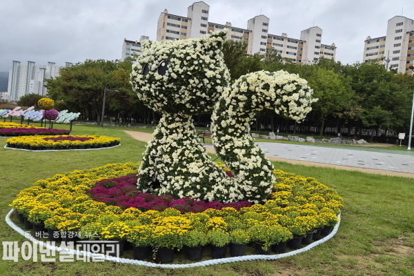 산책로 인근 시정 구호 화단 약 800㎡에 3,300여 본의 국화와 곰돌이, 고양이, ‘아이러브유’ 조형물 3점을 설치해 다채로운 볼거리를 제공 ⓒ파이낸셜데일리/경산시