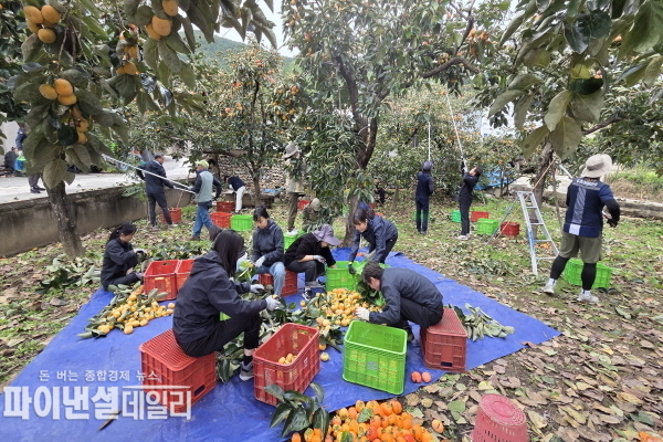 지역민과의 교류를 확대하고 협력 네트워크를 강화하는 의미ⓒ파이낸셜데일리/청도군