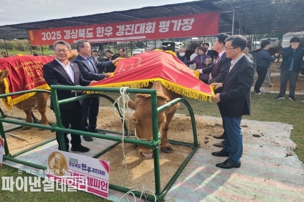 ‘2025년 경북한우경진대회’에서 뛰어난 사양관리와 품질 경쟁력을 인정받아 4개 부문에서 수상 ⓒ파이낸셜데일리/의성군