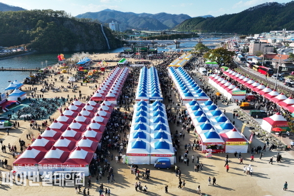 시공간의 제약이 없는 온라인 축제를 병행하여 방문자 수 320만 명을 돌파하는 대기록 ⓒ파이낸셜데일리/청송군