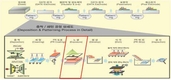 디스플레이 핵심 장비 '디지털 노광기' 개발