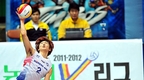 [배구] 월드리그·아시안게임 후보 엔트리 발표