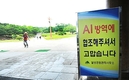 전남 무안 육용오리 농장 AI 바이러스 검출