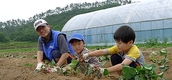 [부동산 단신]삼성물산, 서울국토청, 한국철도시설공단