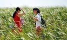 SK렌터카가 반값, 가을 관광주간 국민 여행보내기 '할인폭탄'