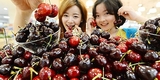 체리 수입 급증…국산 과일 수요 감소 우려