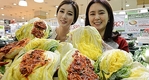 aT, 김장용 절임배추 최대 30% 싸게 판매
