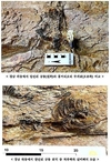 경남서 육식공룡 화석…두개골과 아래턱 국내 첫 발견
