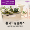 노비타 문화산책 ‘홈 가드닝 클래스’ 오늘(20일)까지 참가 모집