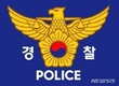 음주단속에 걸려 도주하던 운전자 사고로 사망